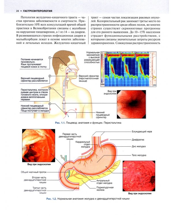 Внутренние болезни по Дэвидсону. Том 2. Гастроэнтерология. Эндокринология. Дерматология