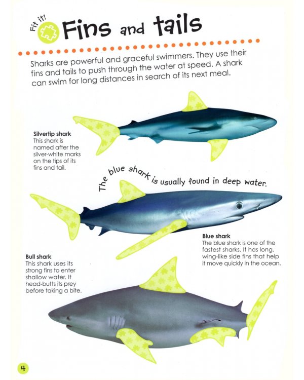 Ultimate Sticker Book: Shark
