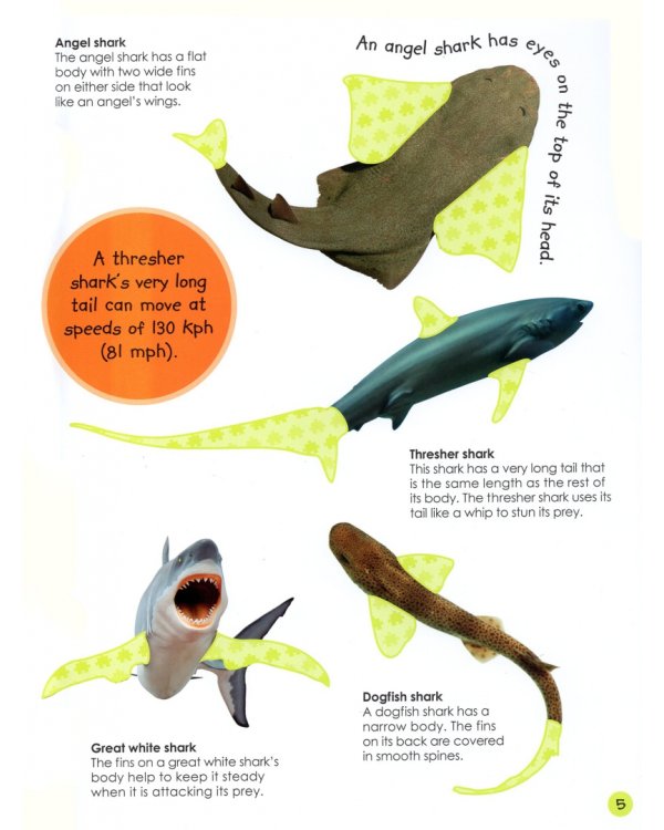 Ultimate Sticker Book: Shark