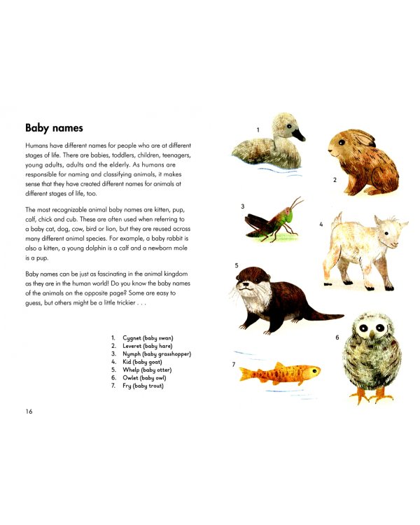 A Ladybird Book: Baby Animals
