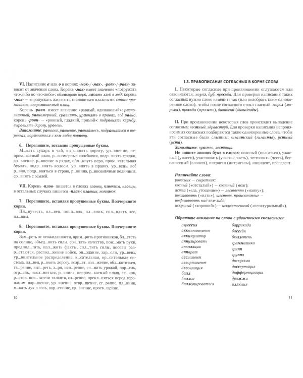 Русский язык. Учебное пособие