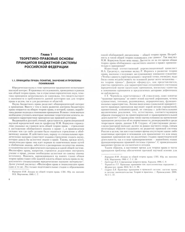 Принципы бюджетной системы Российской Федерации. Теоретико-правовые основы реализации. Монография