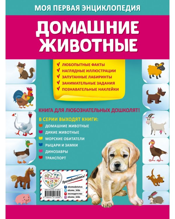 Домашние животные