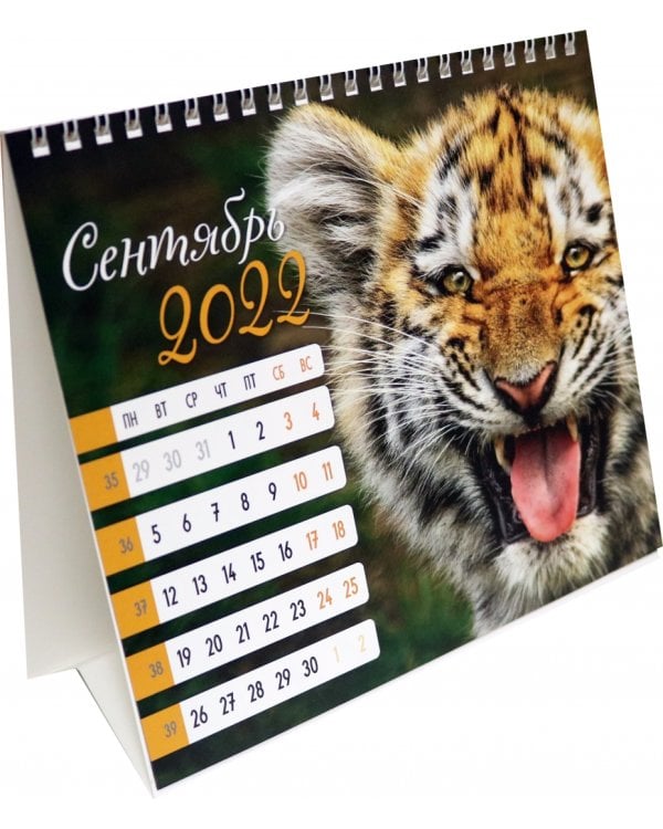 Календарь-домик (евро) "Символ года 2. Маркет" на 2022 год