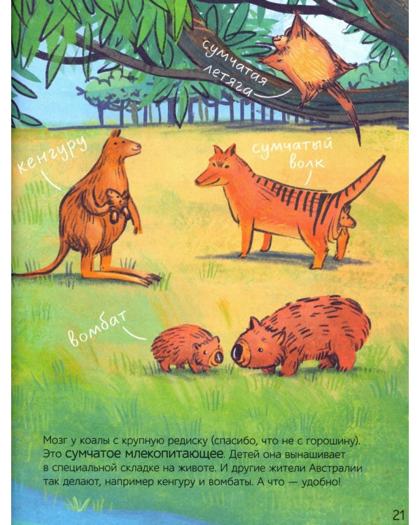 Все млекопитающие делают это?