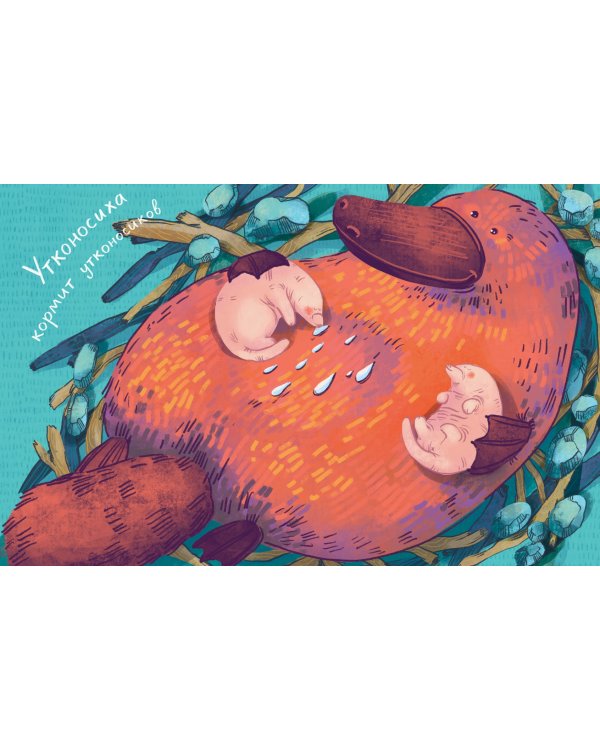 Все млекопитающие делают это?