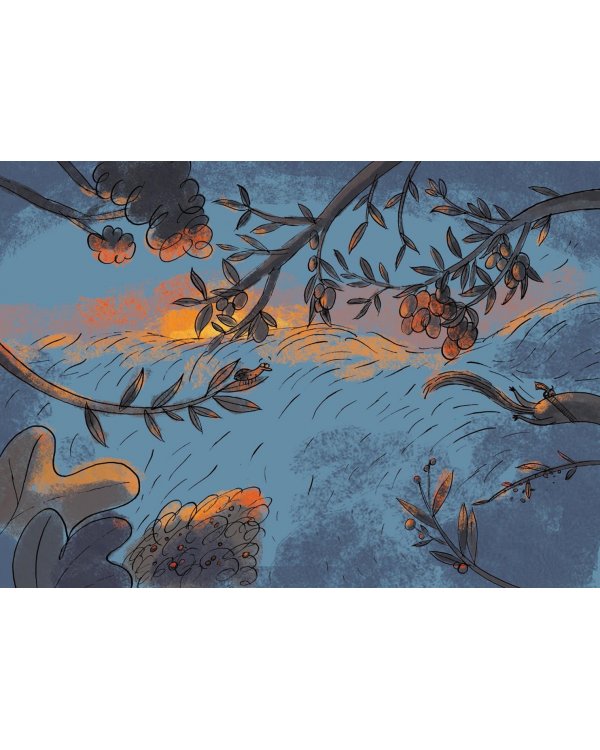 Пять ловких куниц