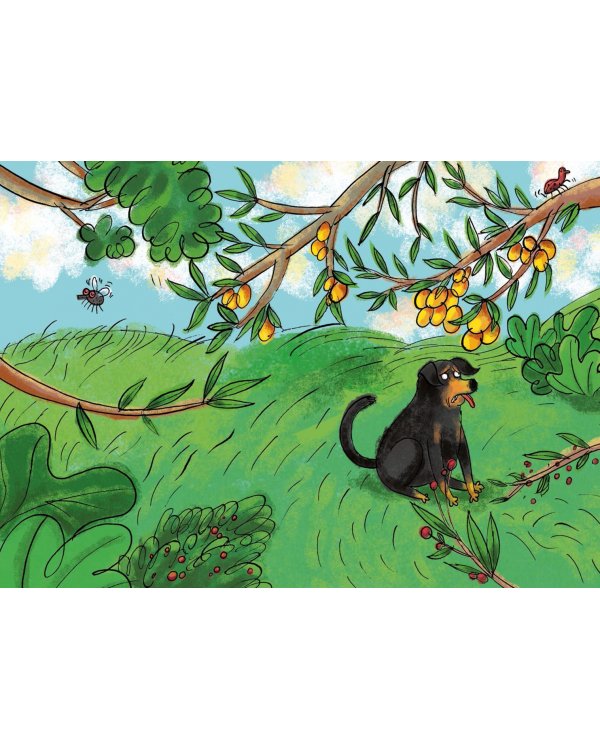 Пять ловких куниц