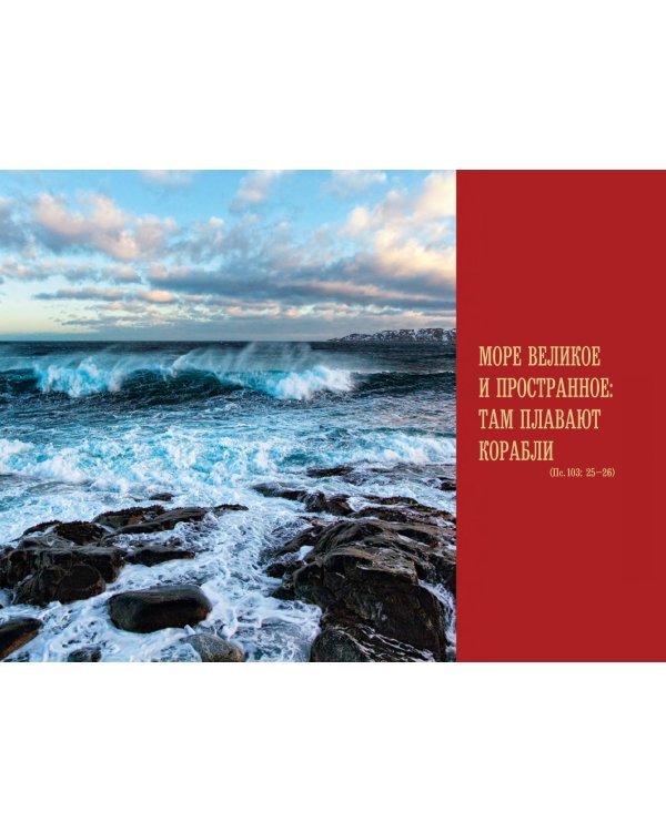 Сыновья одной матери