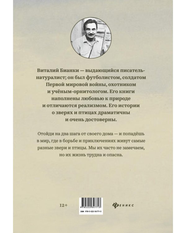 Сказки-несказки