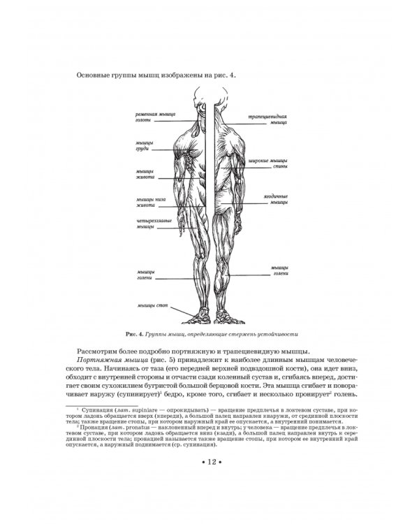 Школа музыкально-хореографического искусства. Учебное пособия. СПО