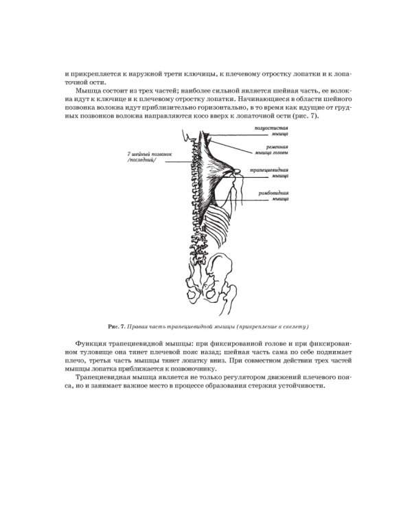 Школа музыкально-хореографического искусства. Учебное пособия. СПО