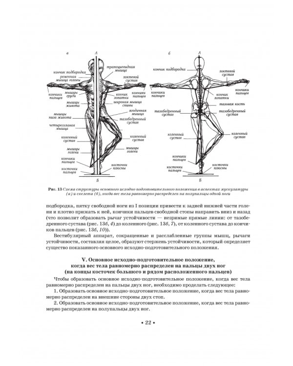 Школа музыкально-хореографического искусства. Учебное пособия. СПО