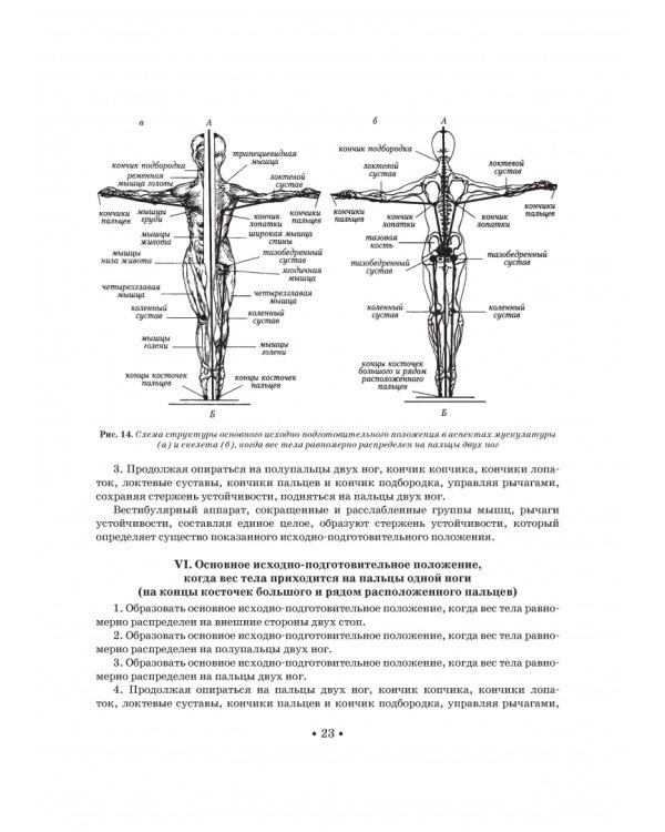 Школа музыкально-хореографического искусства. Учебное пособия. СПО