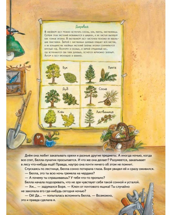 Бобёр Боря-следопыт! Кто прячется в лесу? Книжка подготовишки