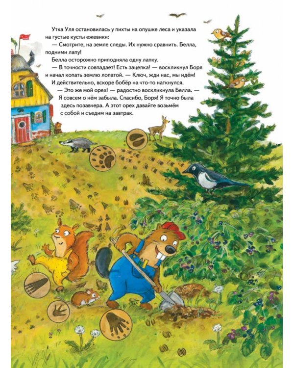 Бобёр Боря-следопыт! Кто прячется в лесу? Книжка подготовишки