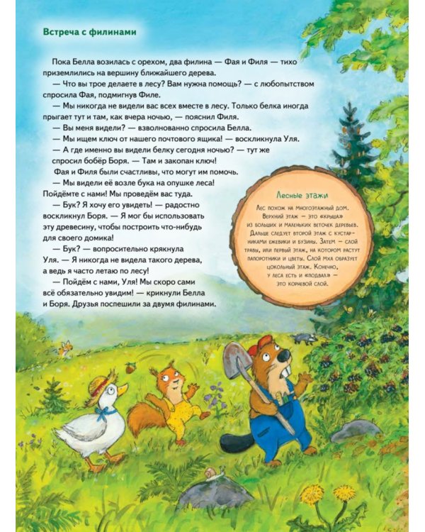 Бобёр Боря-следопыт! Кто прячется в лесу? Книжка подготовишки