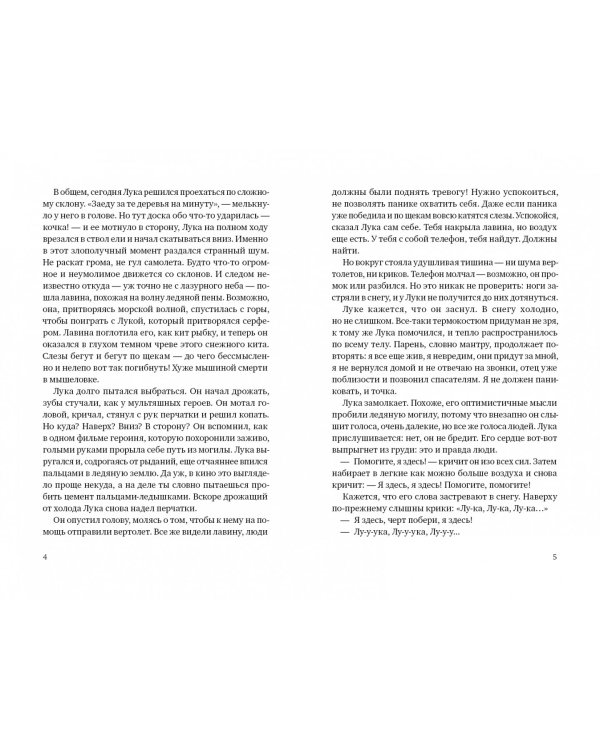 Зорро в снегу