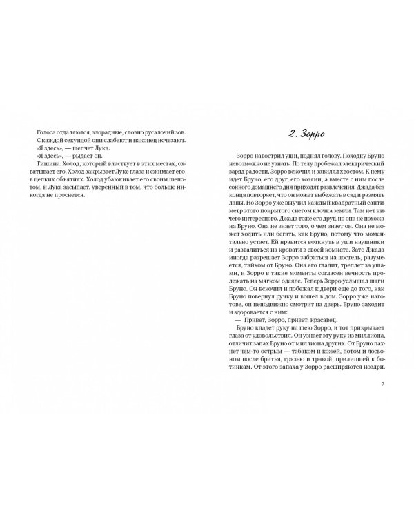 Зорро в снегу