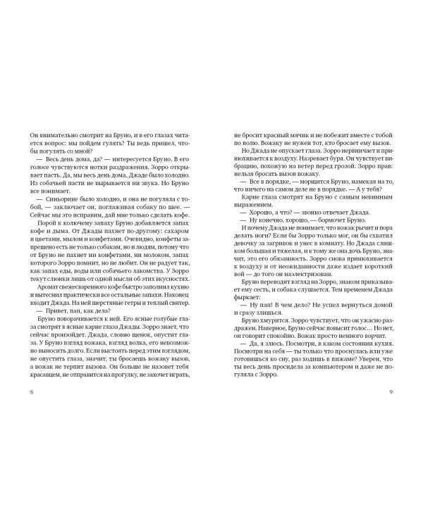 Зорро в снегу