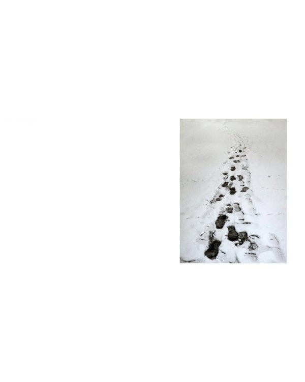 Winterreise. Сентиментальная сюита