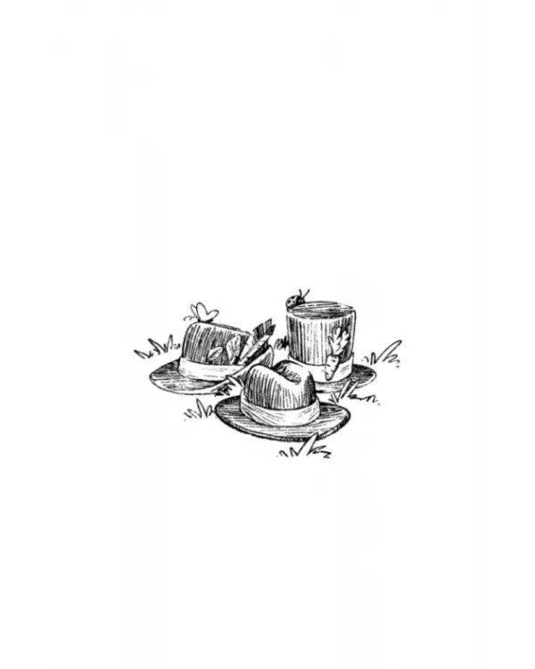 Таинственное исчезновение шляпы. Детективное агентство "Сахарный пончик"