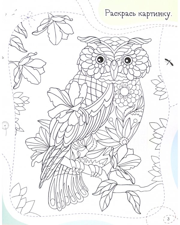 Дзен для мозга