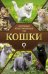 Кошки