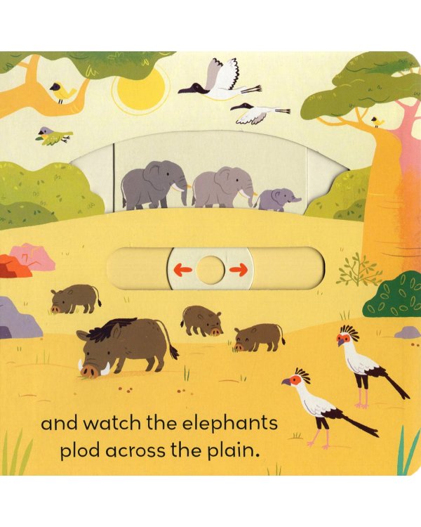 Little World: On Safari. A Push and Pull Board Book