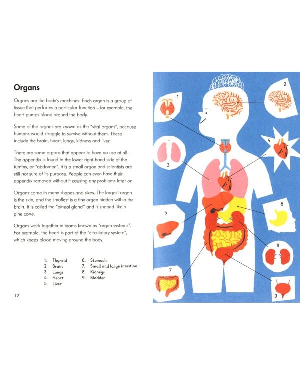 A Ladybird Book: The Human Body