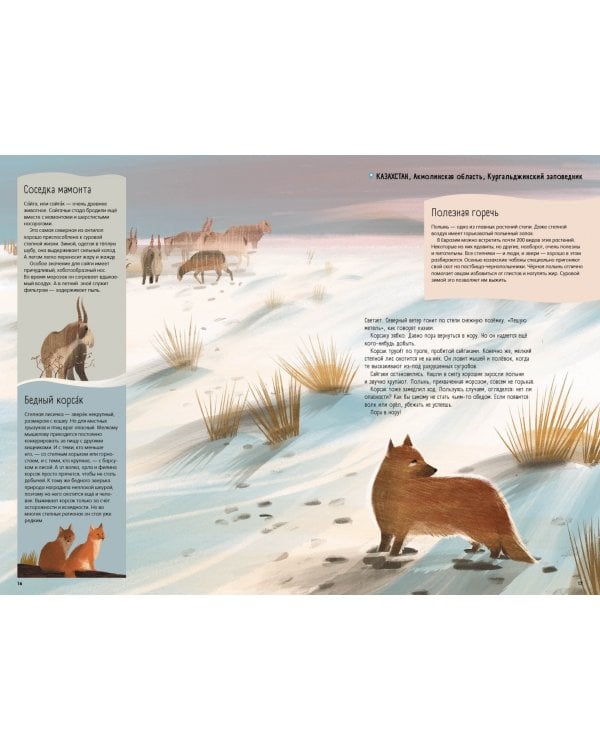 Степи,прерии,пампасы.Один год жизни исчезающего биома