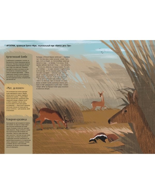 Степи,прерии,пампасы.Один год жизни исчезающего биома