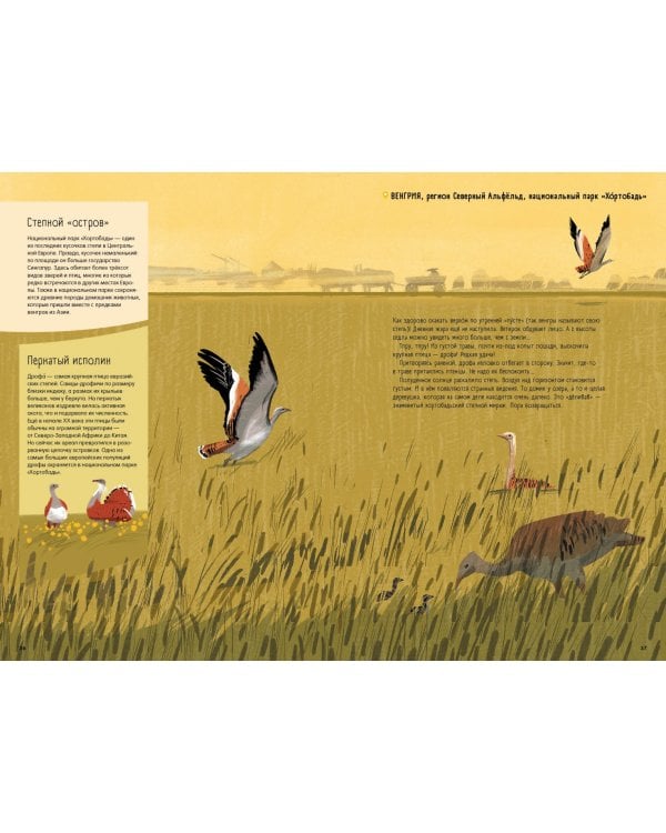 Степи,прерии,пампасы.Один год жизни исчезающего биома