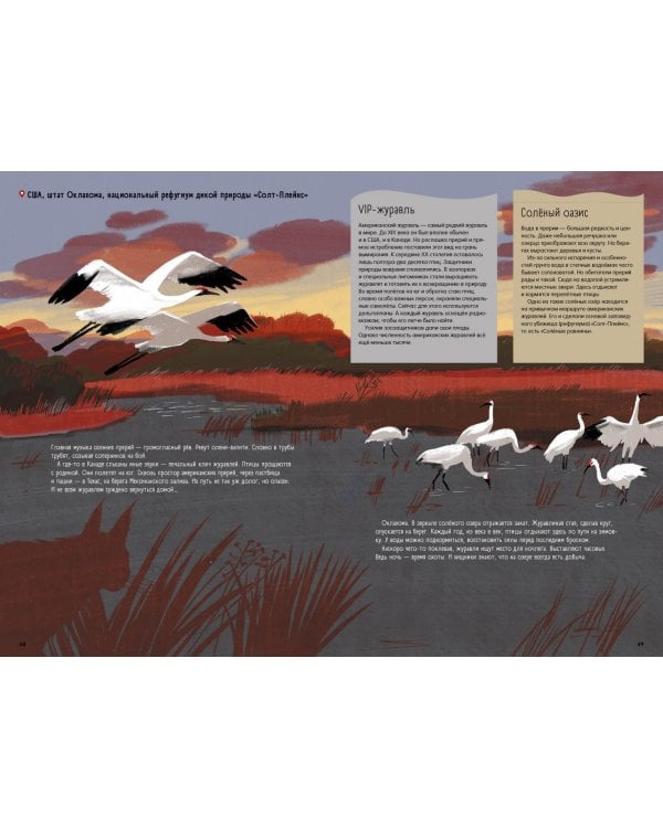 Степи,прерии,пампасы.Один год жизни исчезающего биома