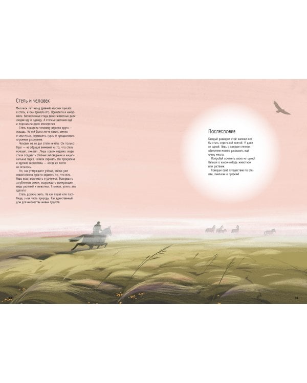 Степи,прерии,пампасы.Один год жизни исчезающего биома