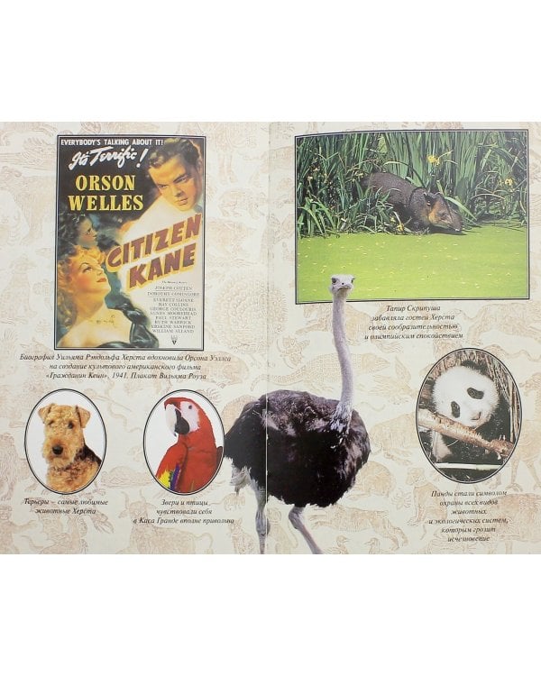 Жираф семейства Медичи, или Экзоты в большой политике