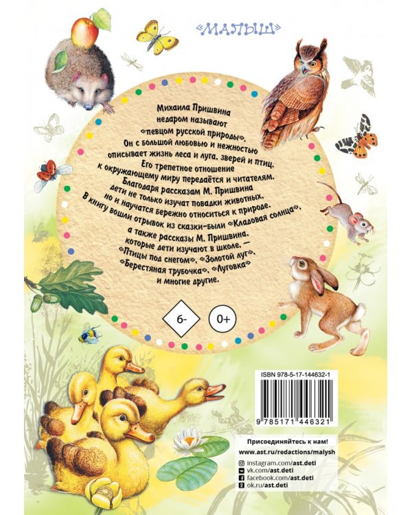 Кладовая солнца. Рассказы