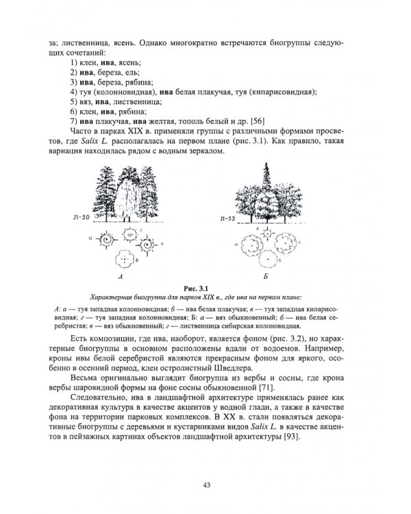 Ива в ландшафной архитектуре. Перспективное использование видов рода Salix в озеленении. Монография