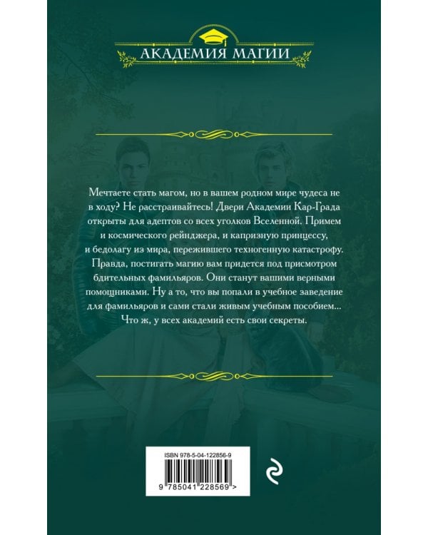Академия фамильяров. Тайна руин