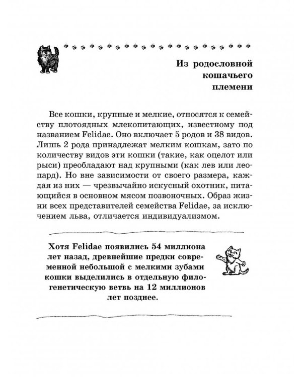 Кошка. Полное руководство по воспитанию и уходу