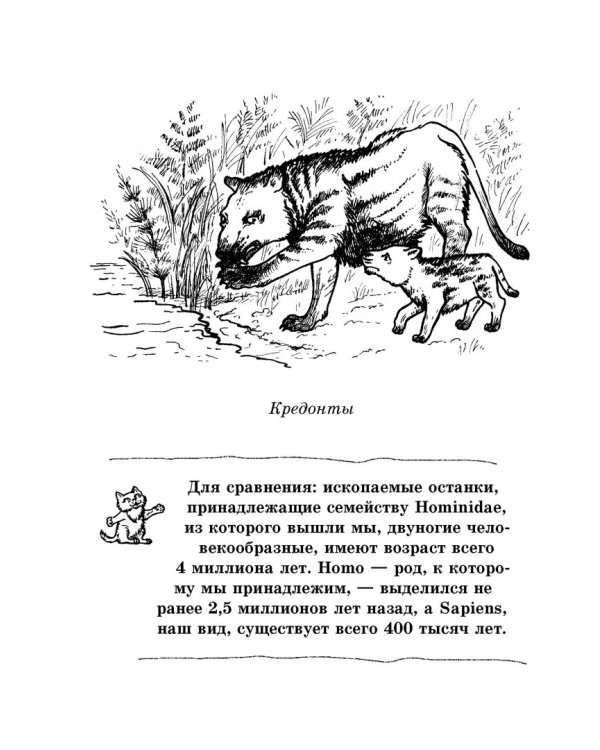 Кошка. Полное руководство по воспитанию и уходу
