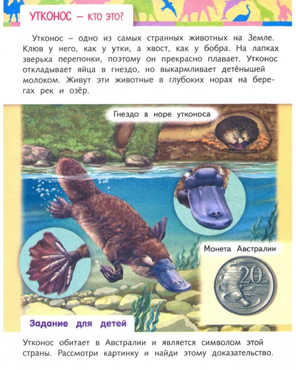 Отчего и почему? Кто это?