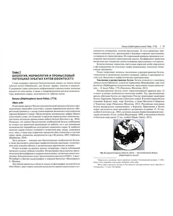 Биология и промысловый потенциал китообразных. Учебное пособие