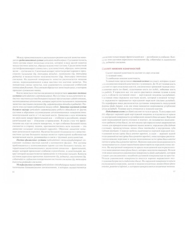 Анатомия человека. Учебное пособие для самостоятельной работы студента (Репетиториум)