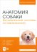 Анатомия собаки. Висцеральные системы (Спланхнология). Учебник для вузов