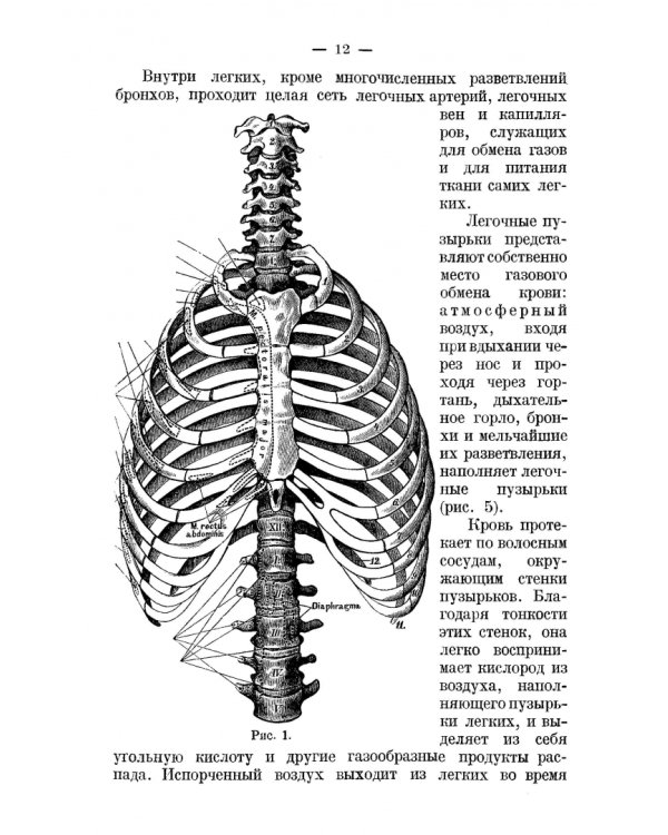 Правильное дыхание, речь и пение. Учебное пособие для СПО