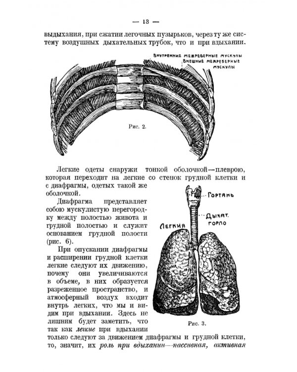 Правильное дыхание, речь и пение. Учебное пособие для СПО