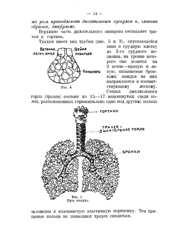 Правильное дыхание, речь и пение. Учебное пособие для СПО