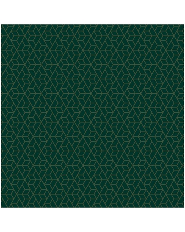 Упаковочная бумага "Dark green", глянец, 70x100 см, 90 г/м2