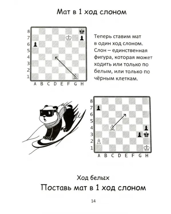 500+ задач по шахматам. Старт. Учебное пособие